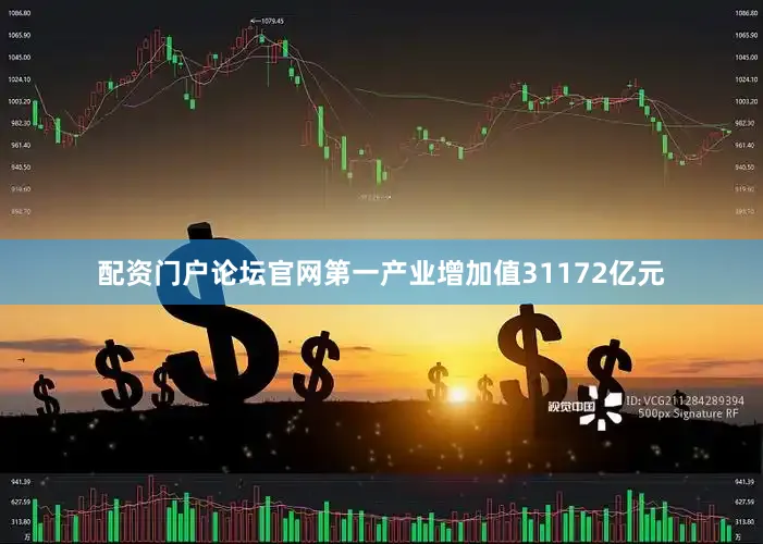 配资门户论坛官网第一产业增加值31172亿元