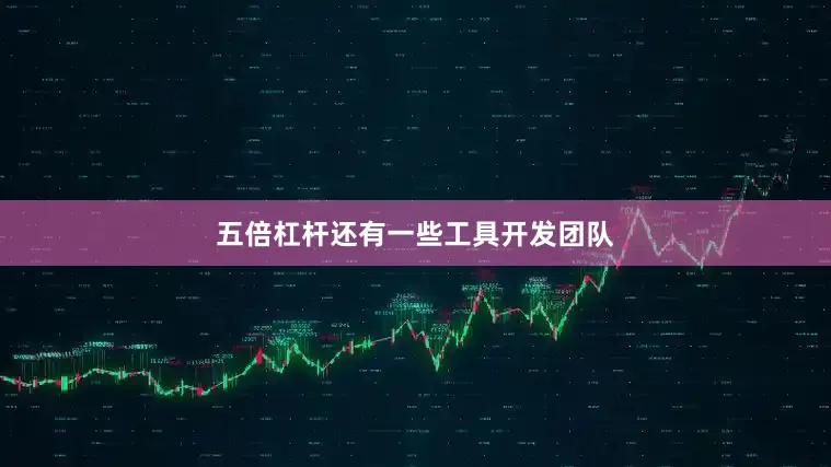 五倍杠杆还有一些工具开发团队